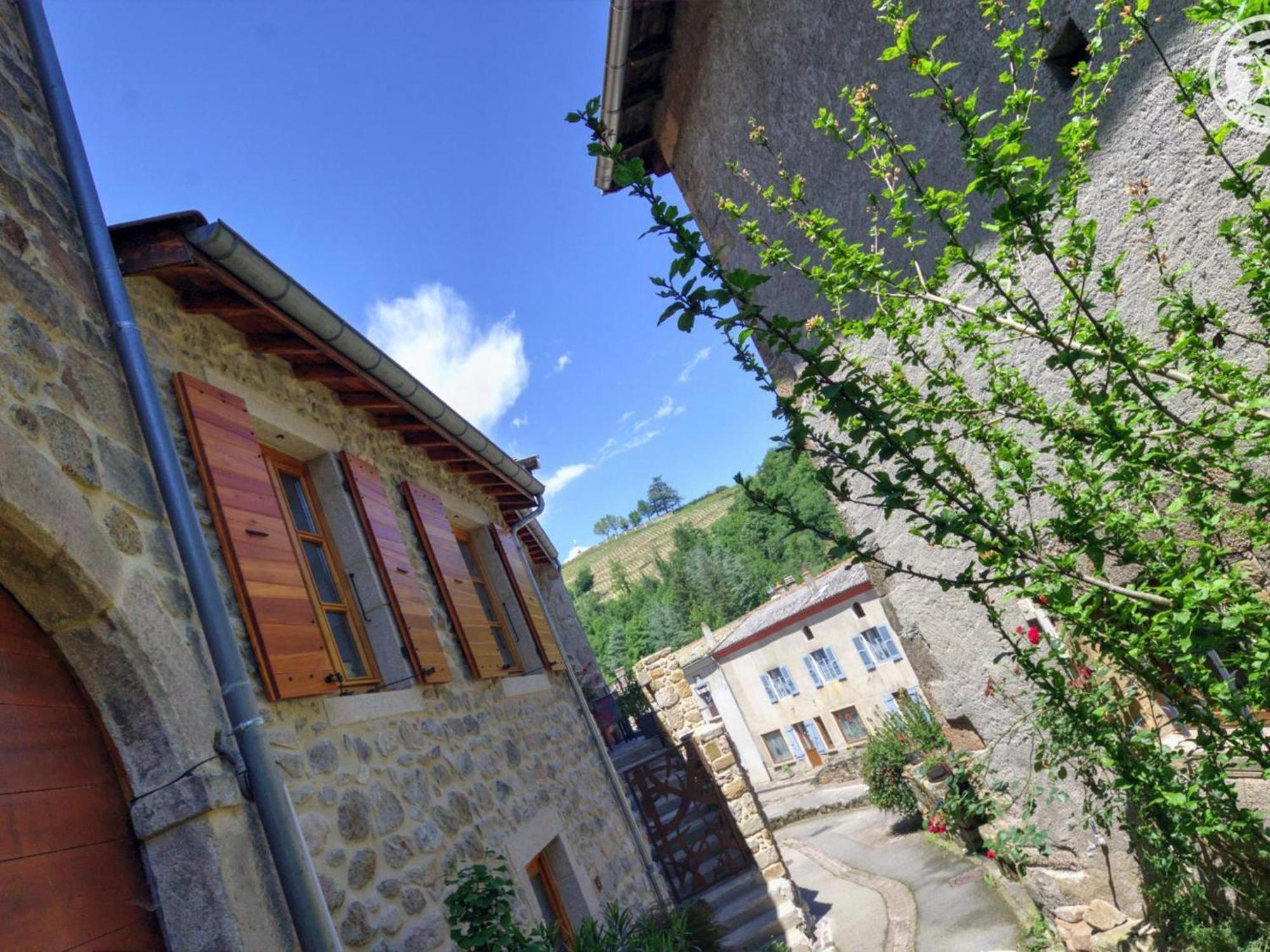 Gite De Charme Avec 2 Terrasses, Au Coeur Du Parc Du Pilat, Confortable Et Equipe - Fr-1-496-40 Malleval Εξωτερικό φωτογραφία