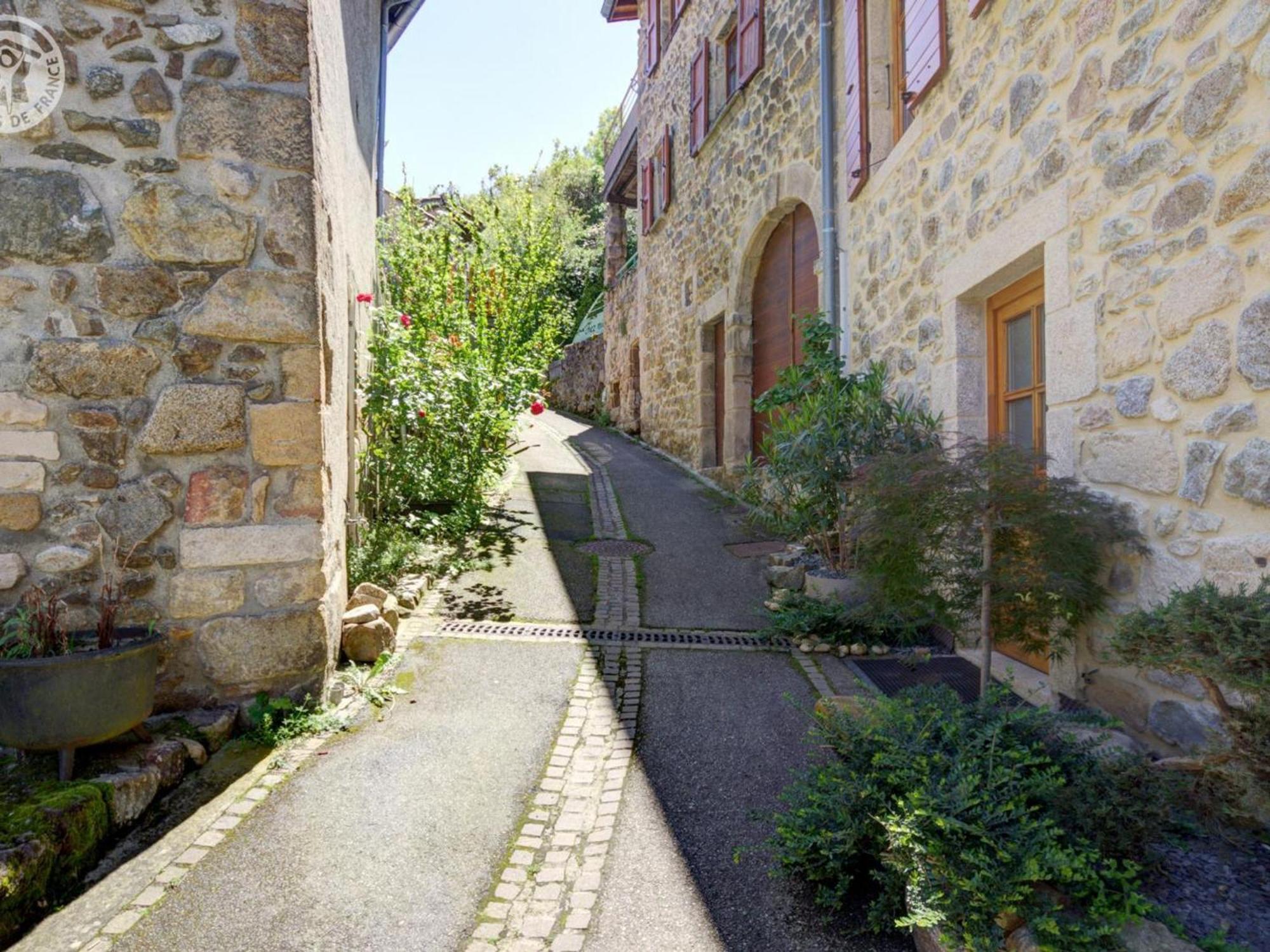 Gite De Charme Avec 2 Terrasses, Au Coeur Du Parc Du Pilat, Confortable Et Equipe - Fr-1-496-40 Malleval Εξωτερικό φωτογραφία